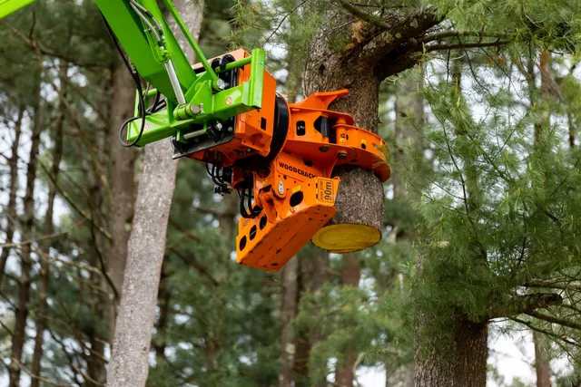 work photo from dlandgtree.com