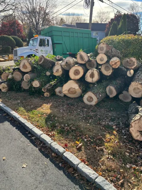 work photo from lifetreeservicesllc.com
