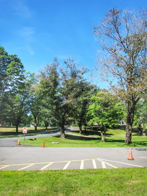 work photo from massstumpandtree.com