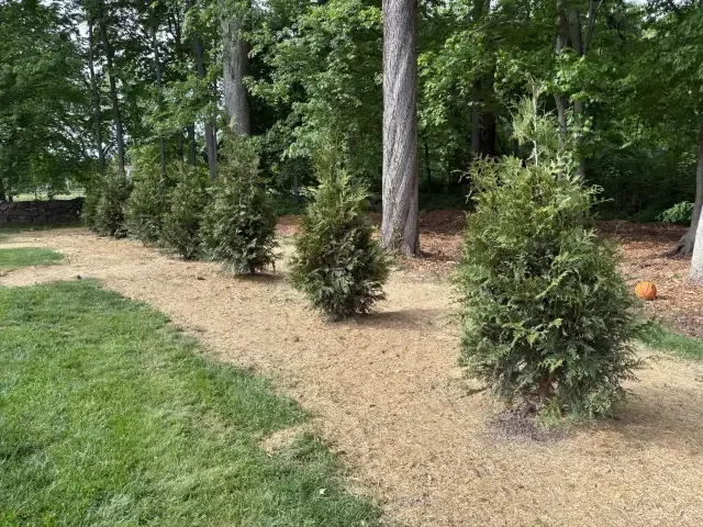 705365673_1813091703319678_1875246274214757191_n