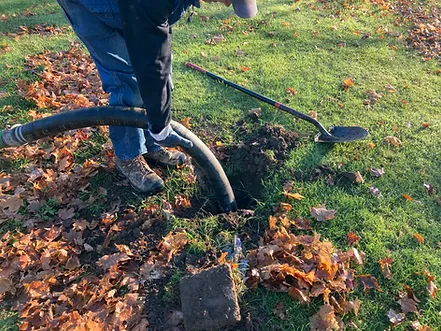 Best septic services