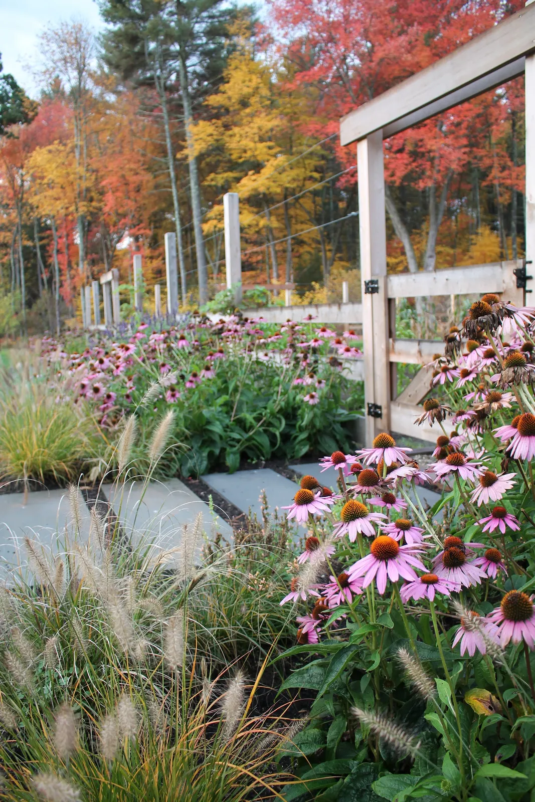 CS Bailey Landscape, Inc.