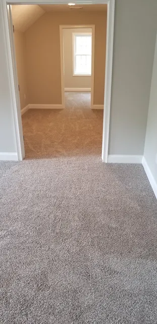 CARPET LOVER PLUS work photo