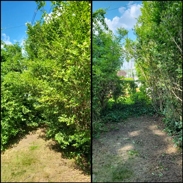 Justin's Home and Yard Care work photo