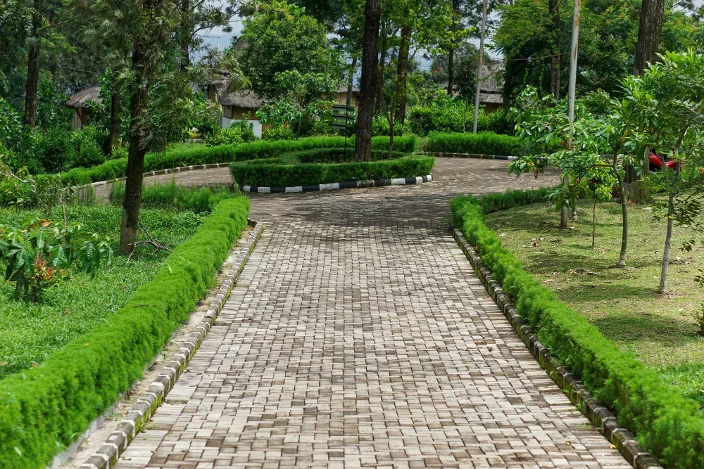 Patios, Driveways & Walkways-img3