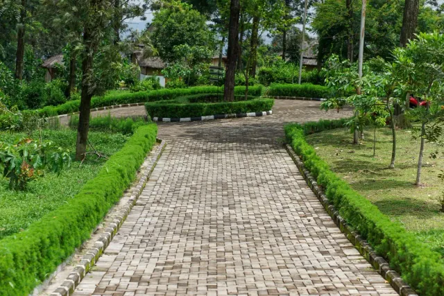 Patios, Driveways & Walkways-img3