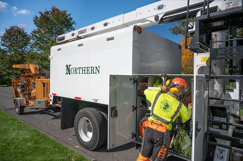 work photo from northerntree.com