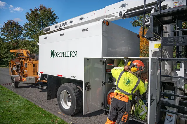 work photo from northerntree.com