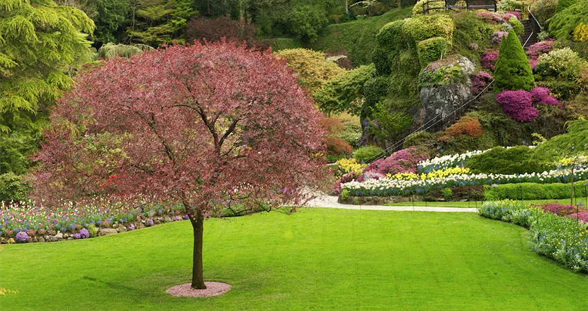 Landscape