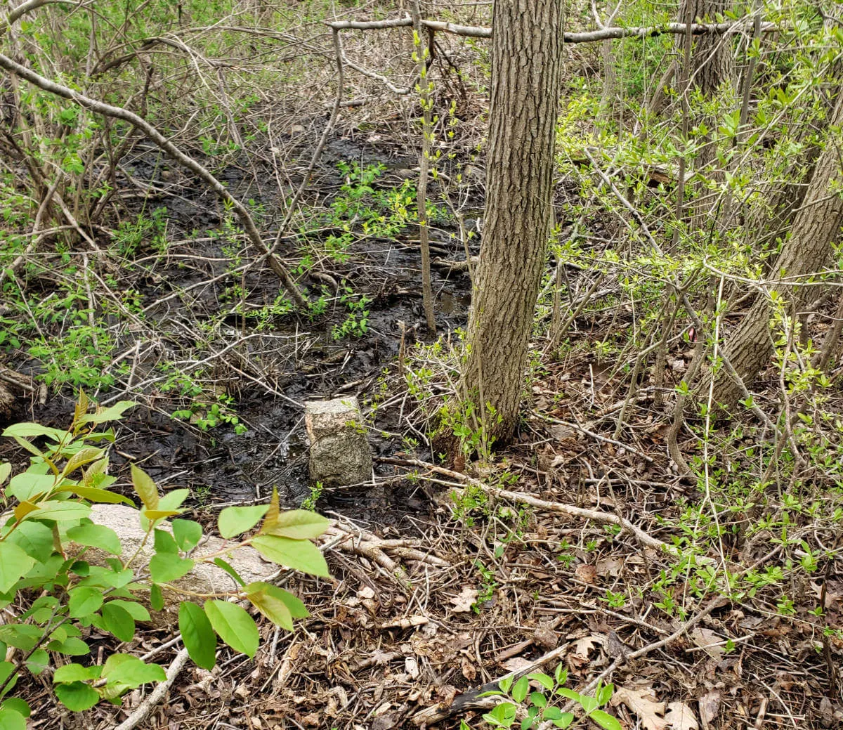 Massachusetts Land Survey Services