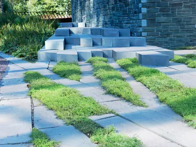 work photo from siriuslandscapes.com