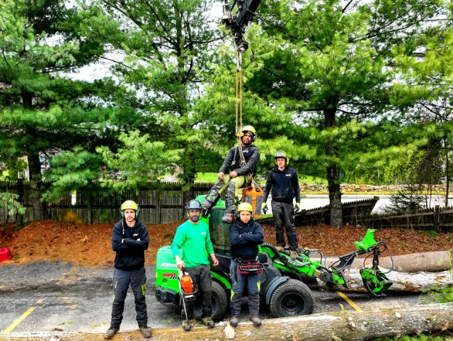 work photo from brotherstreeremoval.com