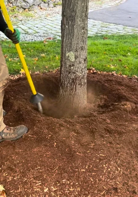 work photo from grownrighttreeandshrub.com