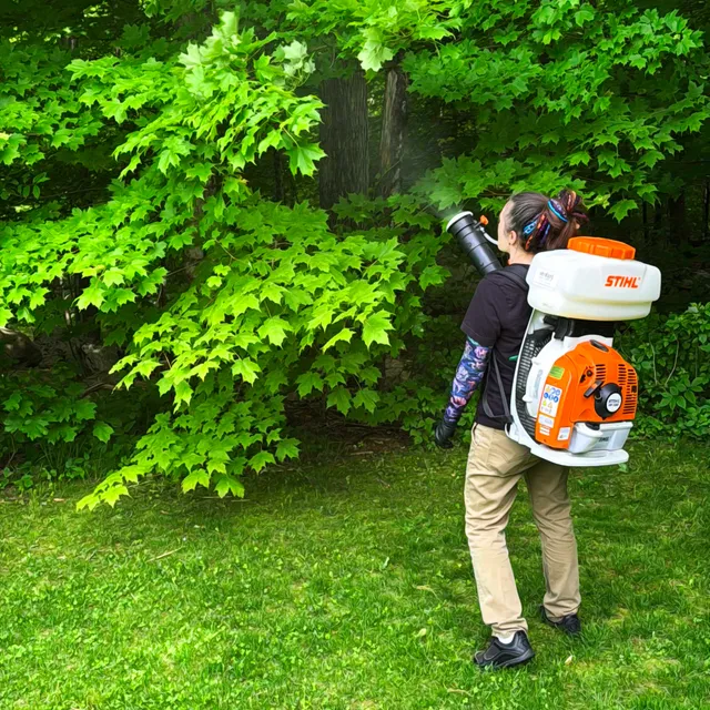 Verdant Pest Control work photo