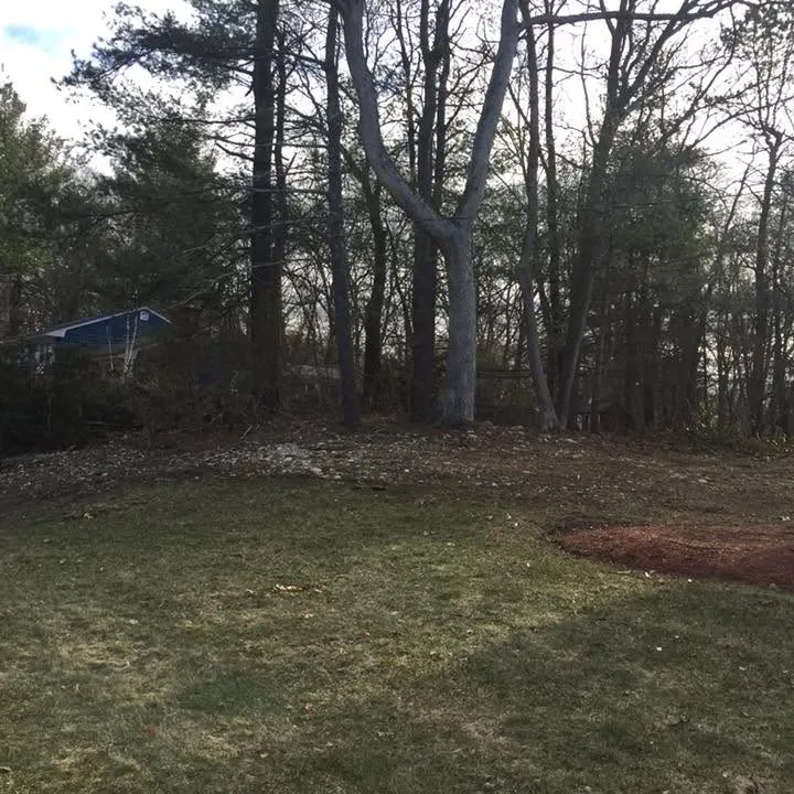 Mario's Lawncare researched project photo