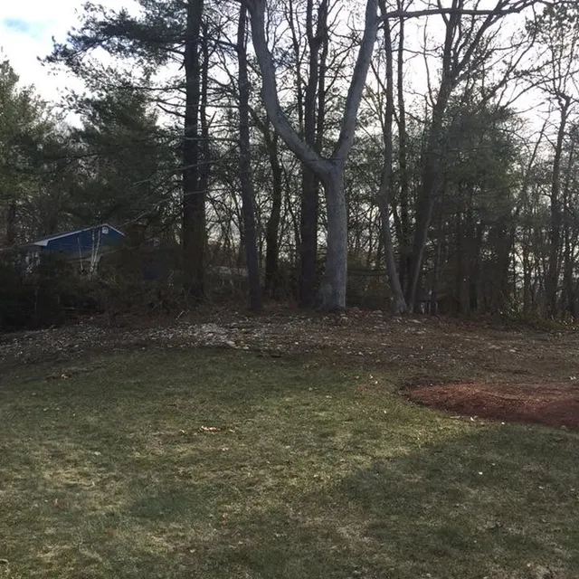 Mario's Lawncare researched project photo