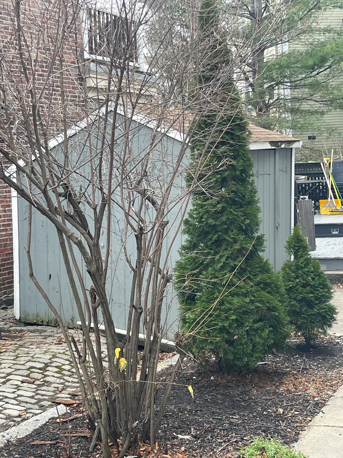 A & C Junk Removal