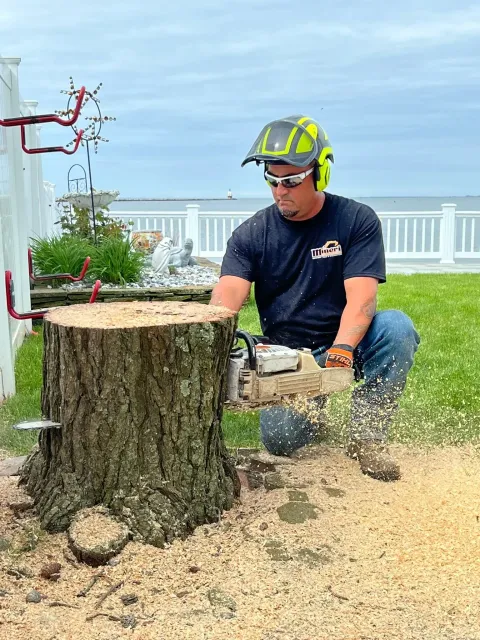Man grinding down tree stump with a chainsaw outdoors, wearing safety gear; sawdust flying.