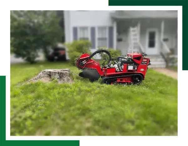 Greene's Stump Removal - About Us