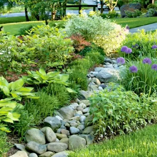 Lisa Swansey Landscape Architecture researched project photo
