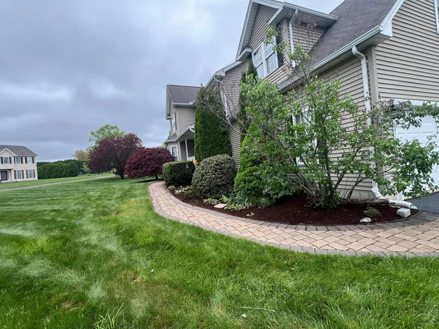 Vasquez Green America Landscaping work photo