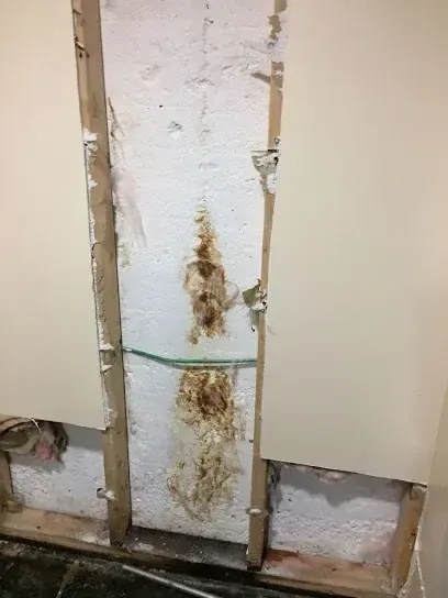 Burst Pipe Cleanup in Brockton, MA