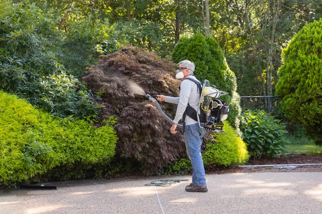 Backyard Dome work photo