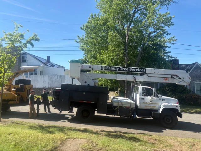 Family Tree Service and Landscape work photo