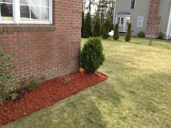 work photo from limaslandscape.com
