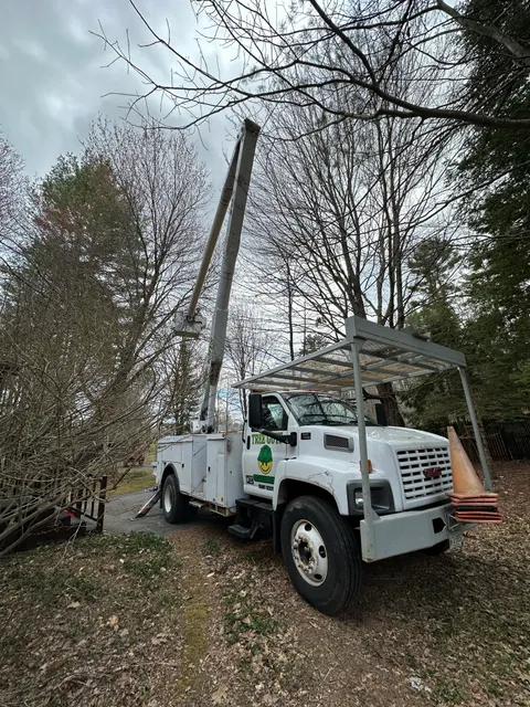 work photo from treeguysinc.com