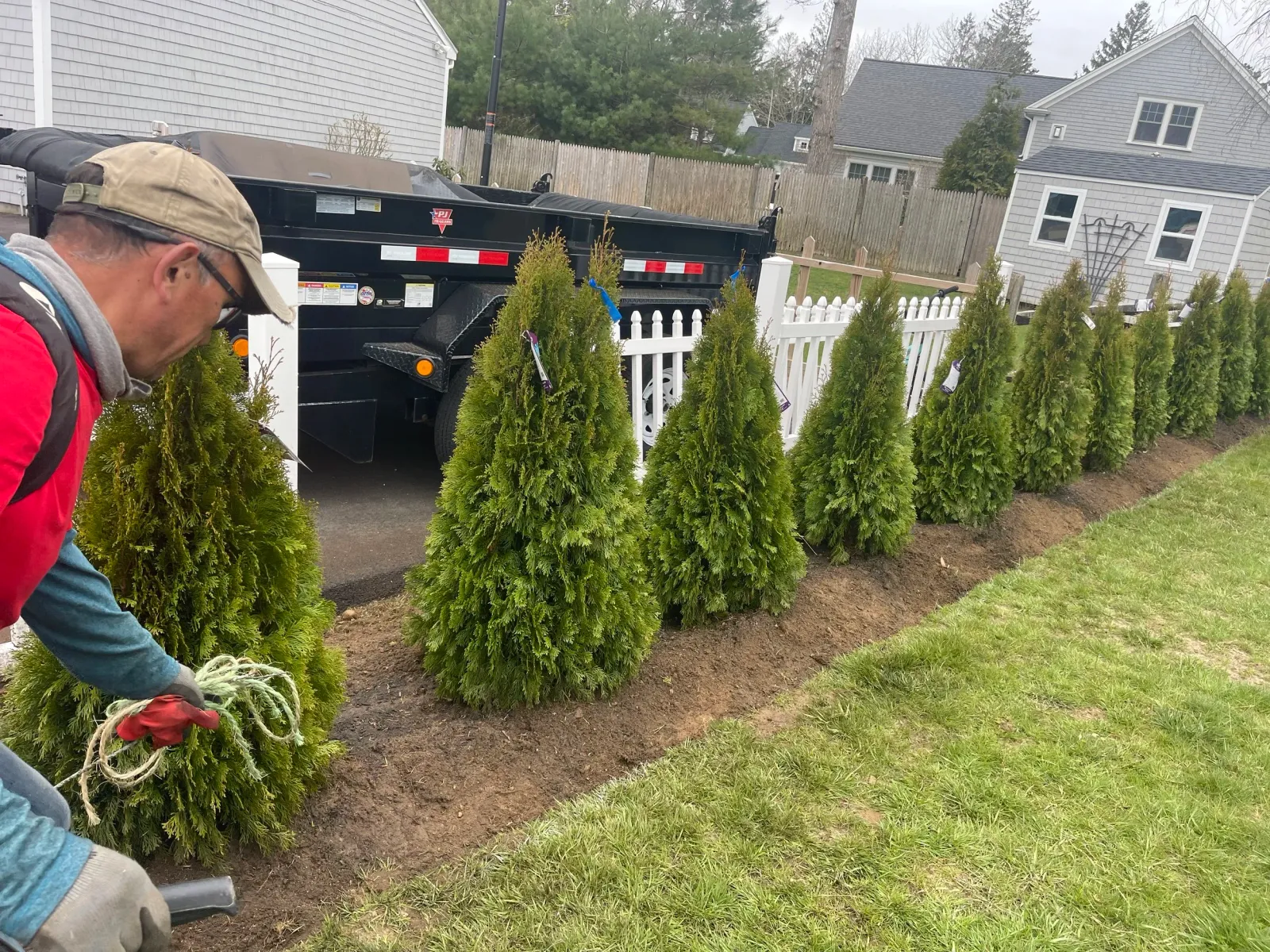 Person working in a garden planting a row of small evergreen trees next to a white picket fence, with a trailer in the background.