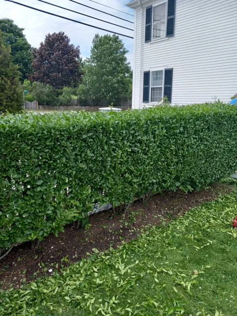 work photo from dsjlandscaping.com