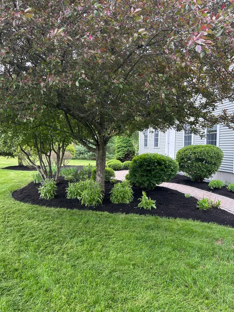 Thomas Landscaping work photo