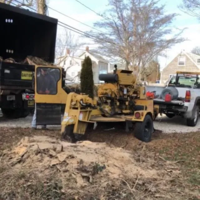 tree removal equipment