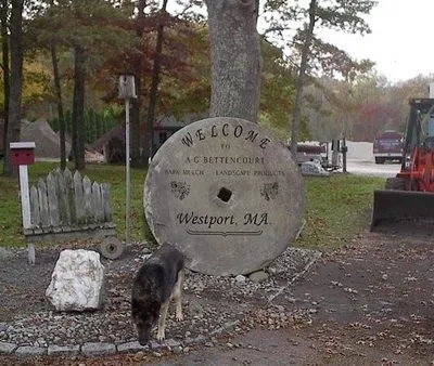 work photo from albanesemonuments.com