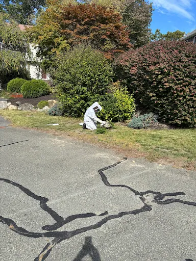 Michael Scott Pest Control work photo