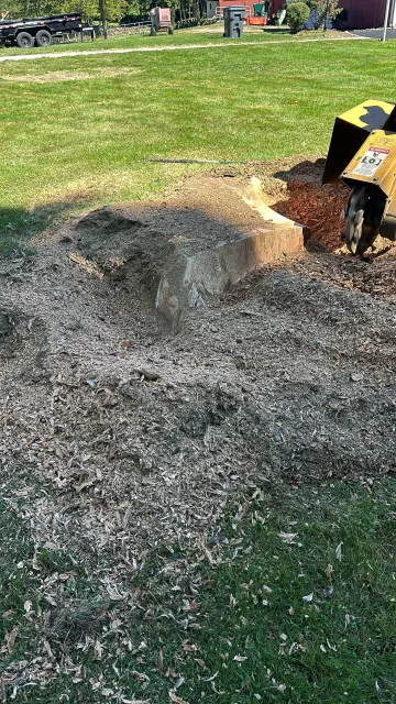Recent work tree services fairfield county ct with advanced equipment for precise tree cutting