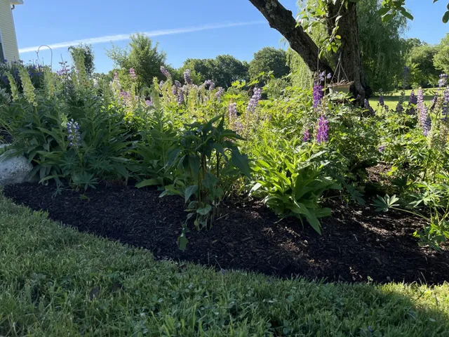 work photo from bittencourtslandscape.com