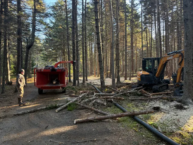 Anchored Roots Tree Service work photo