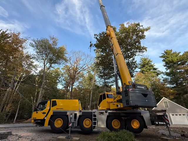 C.T. Tree Service, LLC work photo