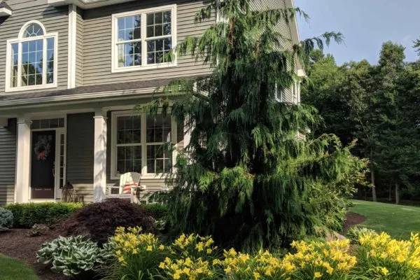 work photo from frankslandscapedesign.com