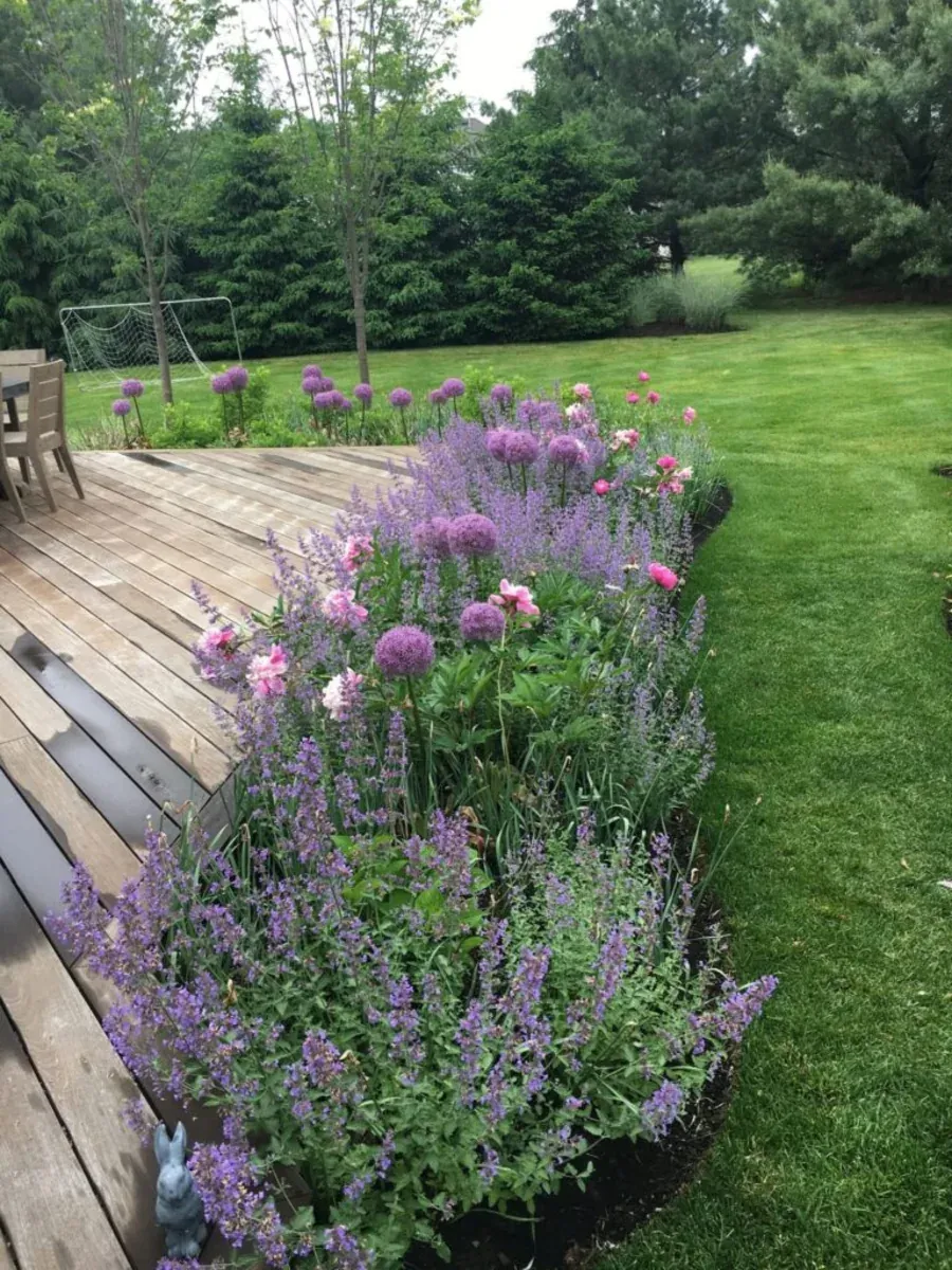 Lavender and perennial border framing a manicured Martha's Vineyard lawn