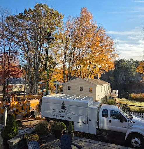 Wilder's Tree Service work photo