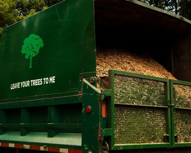 work photo from pathfindertreeservice.com
