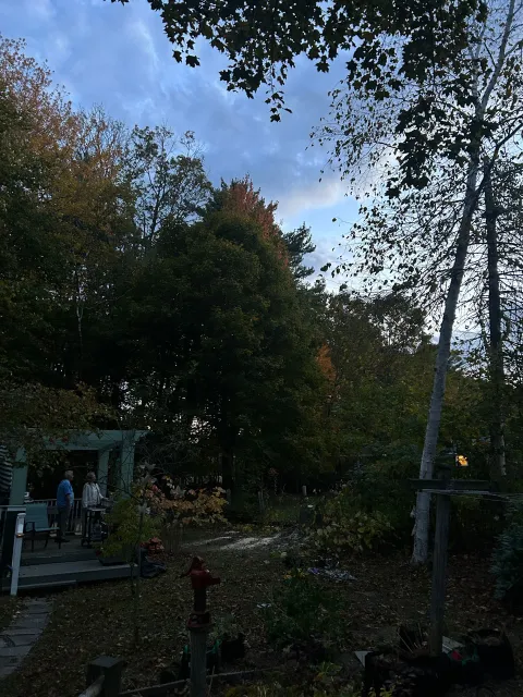 Dusk in a wooded yard with tall trees, a small covered patio, and a person standing near the left side.