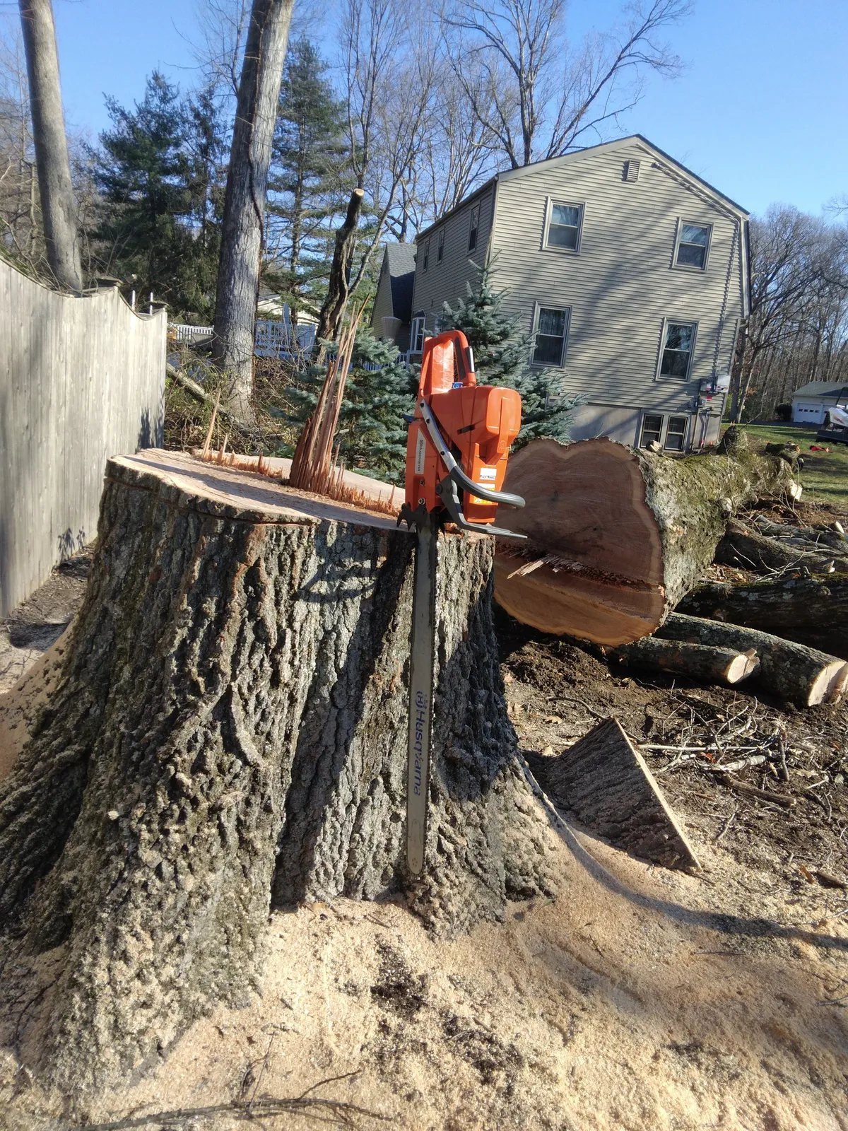 work photo from Google listing