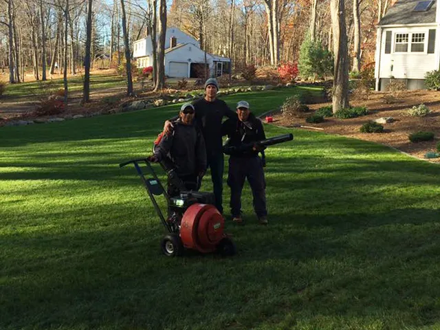 wildermann landscaping
