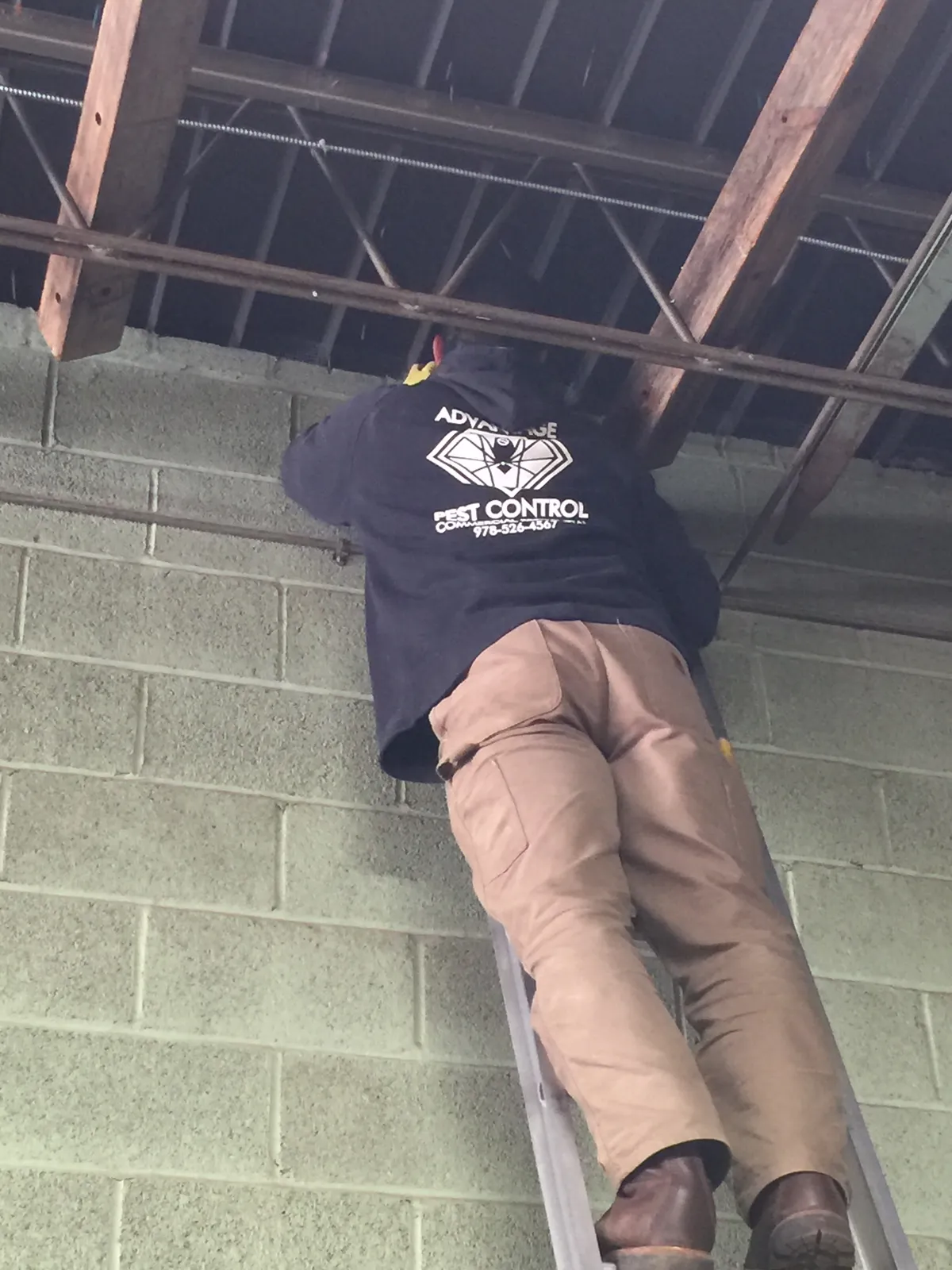 work photo from advantagepestcontrolinc.com