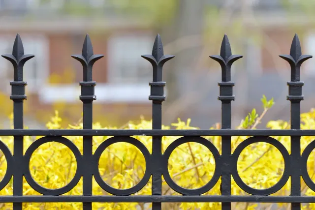 Distinctive Fences