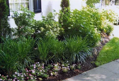 Gardens5.jpg
